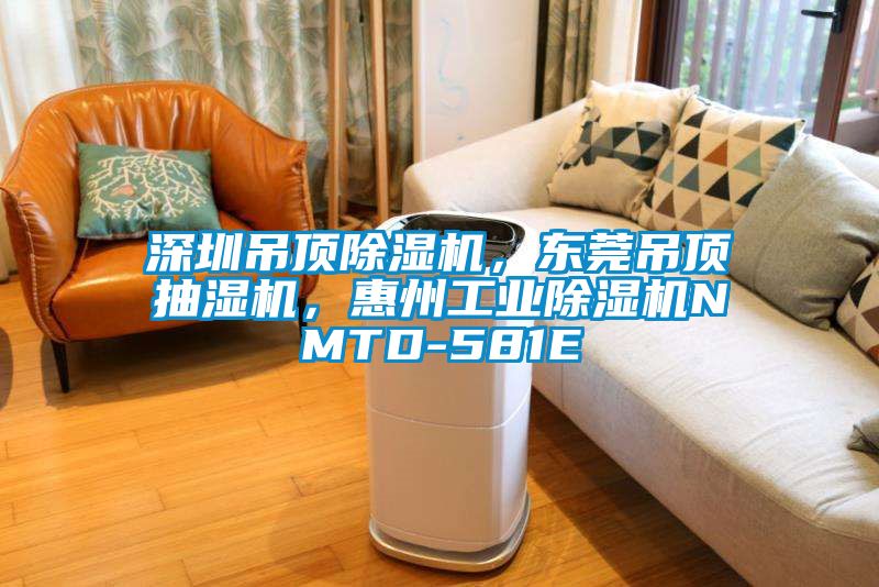 深圳吊頂除濕機(jī)，東莞吊頂抽濕機(jī)，惠州工業(yè)除濕機(jī)NMTD-581E