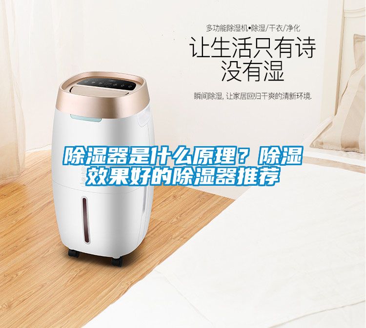 除濕器是什么原理?除濕效果好的除濕器推薦