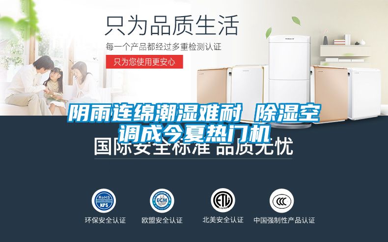 陰雨連綿潮濕難耐 除濕空調成今夏熱門機
