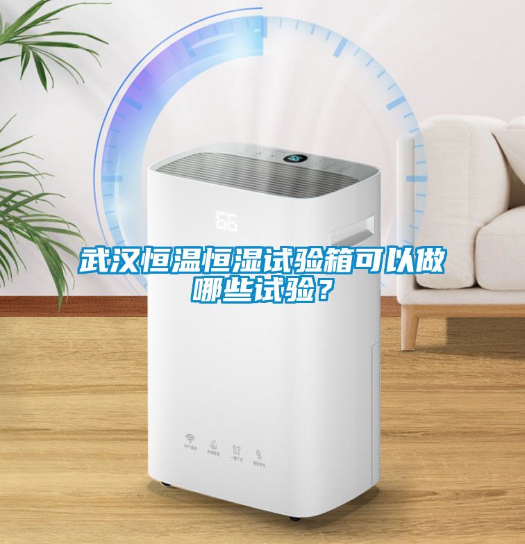 武漢恒溫恒濕試驗(yàn)箱可以做哪些試驗(yàn)？