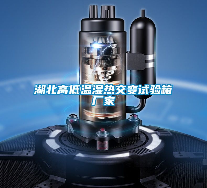 湖北高低溫濕熱交變?cè)囼?yàn)箱廠家