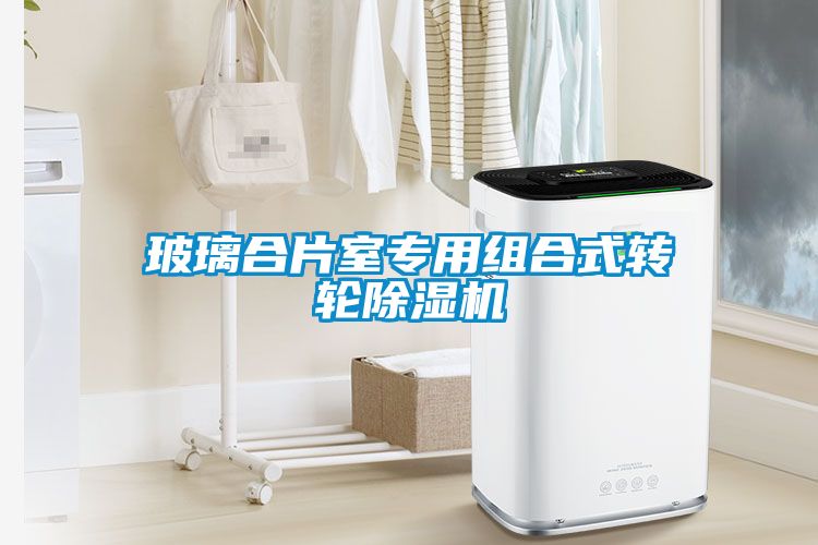 玻璃合片室專用組合式轉(zhuǎn)輪除濕機(jī)