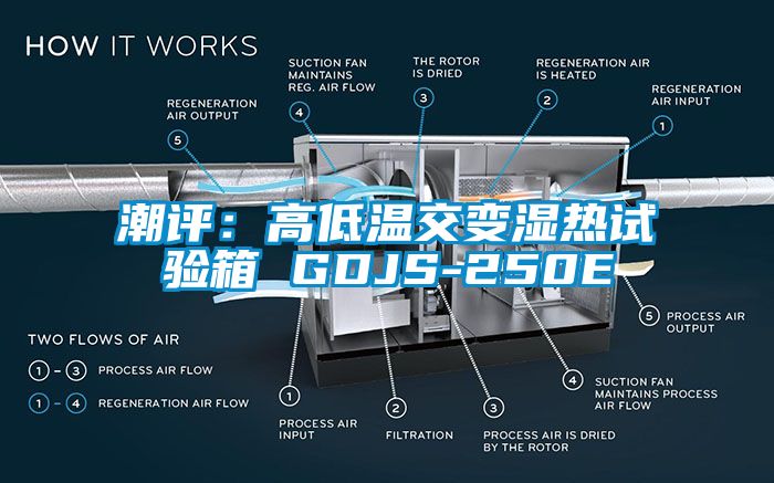潮評:高低溫交變濕熱試驗箱 GDJS-250E
