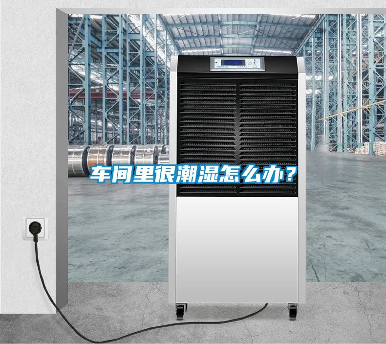 車間里很潮濕怎么辦？