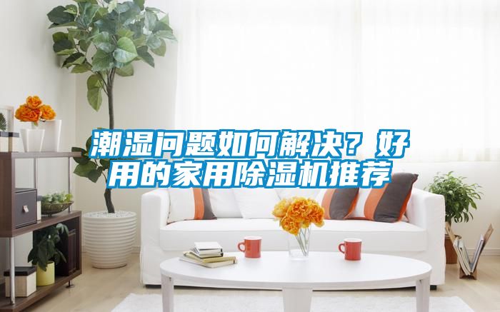 潮濕問題如何解決？好用的家用除濕機推薦