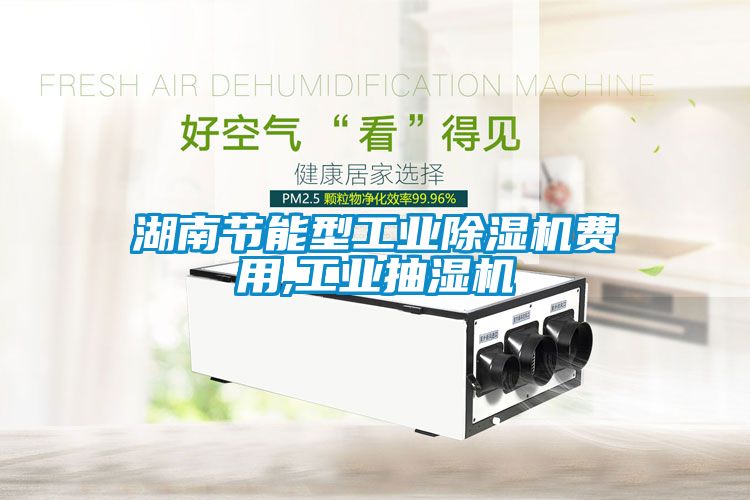 湖南節能型工業除濕機費用,工業抽濕機