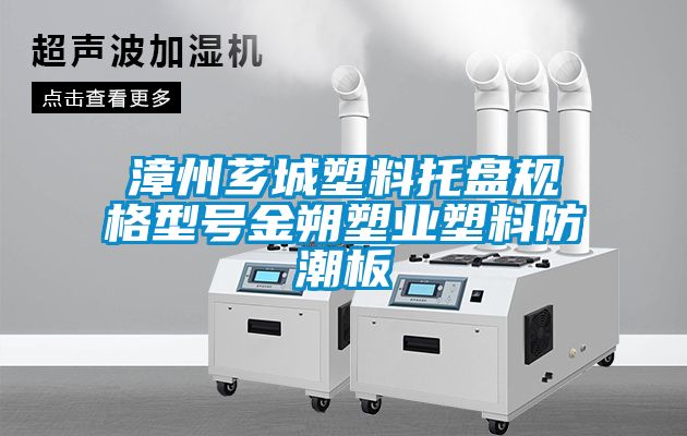 漳州薌城塑料托盤(pán)規(guī)格型號(hào)金朔塑業(yè)塑料防潮板