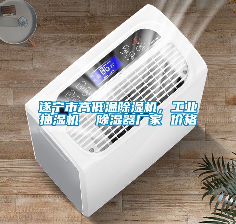 遂寧市高低溫除濕機，工業(yè)抽濕機  除濕器廠家 價格