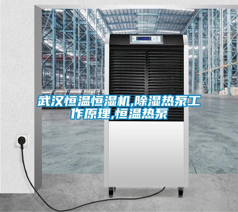 武漢恒溫恒濕機(jī),除濕熱泵工作原理,恒溫?zé)岜?/></p>
						    <p style=