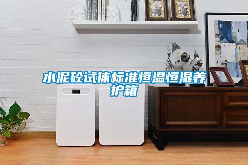 水泥砼試體標(biāo)準(zhǔn)恒溫恒濕養(yǎng)護箱