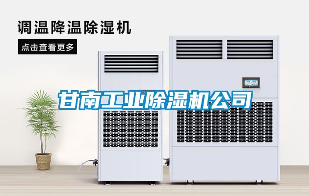 甘南工業(yè)除濕機公司
