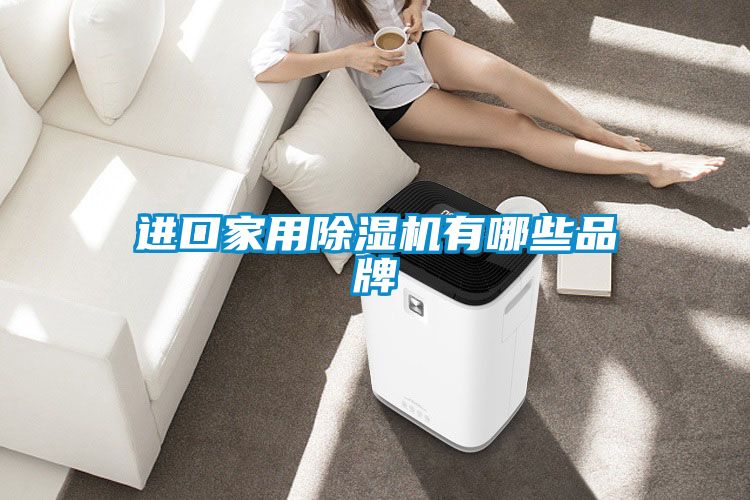 進口家用除濕機有哪些品牌