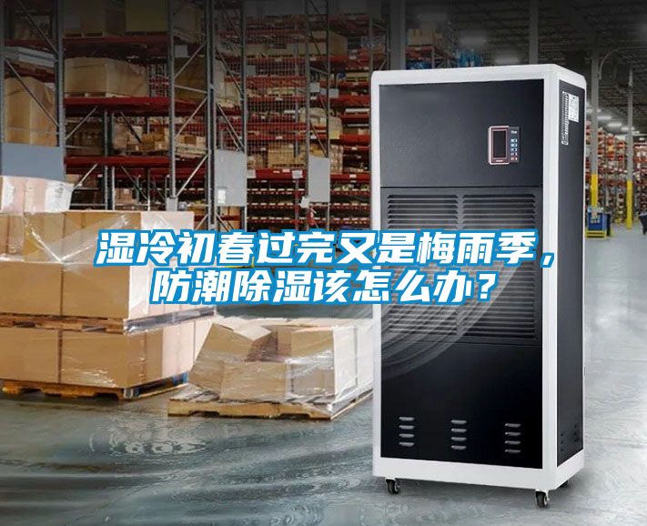 濕冷初春過完又是梅雨季，防潮除濕該怎么辦？