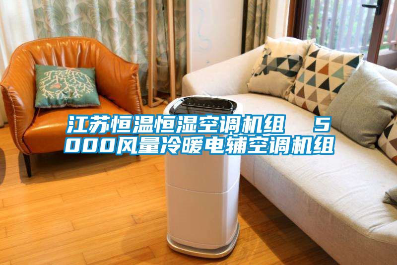 江蘇恒溫恒濕空調機組 5000風量冷暖電輔空調機組