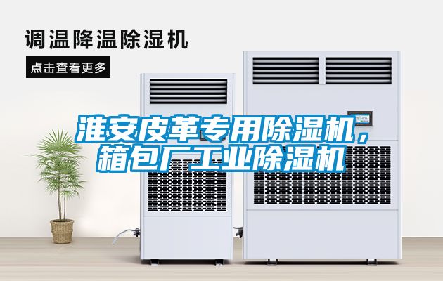 淮安皮革專用除濕機，箱包廠工業除濕機