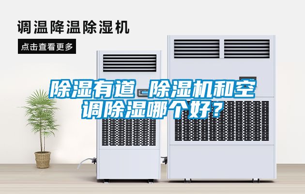 除濕有道 除濕機和空調除濕哪個好？